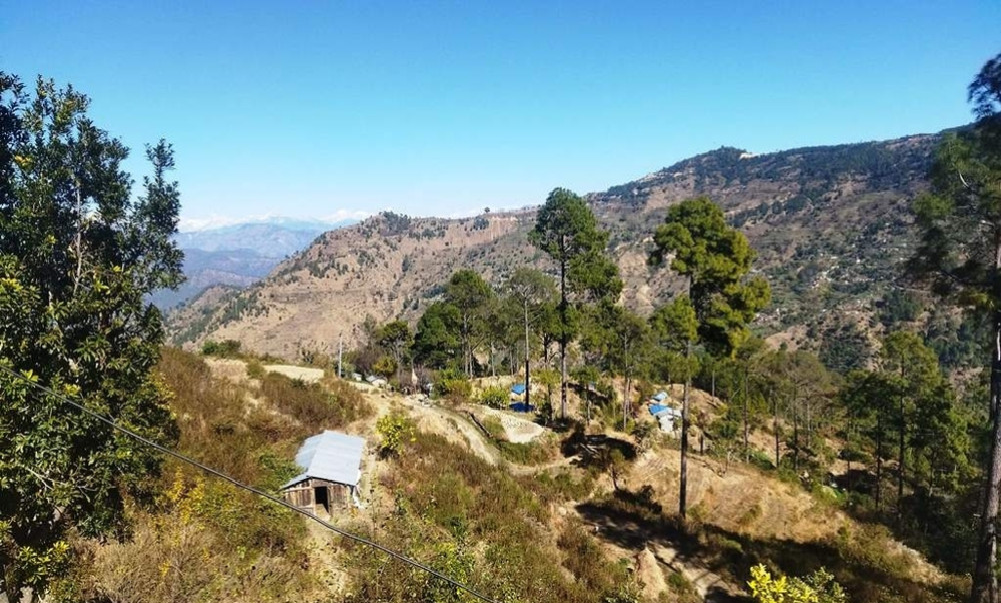 हलिया मुक्त घोषणा का १७ वर्ष  दलित बस्तीमा सधैं आश्वासन मात्रै