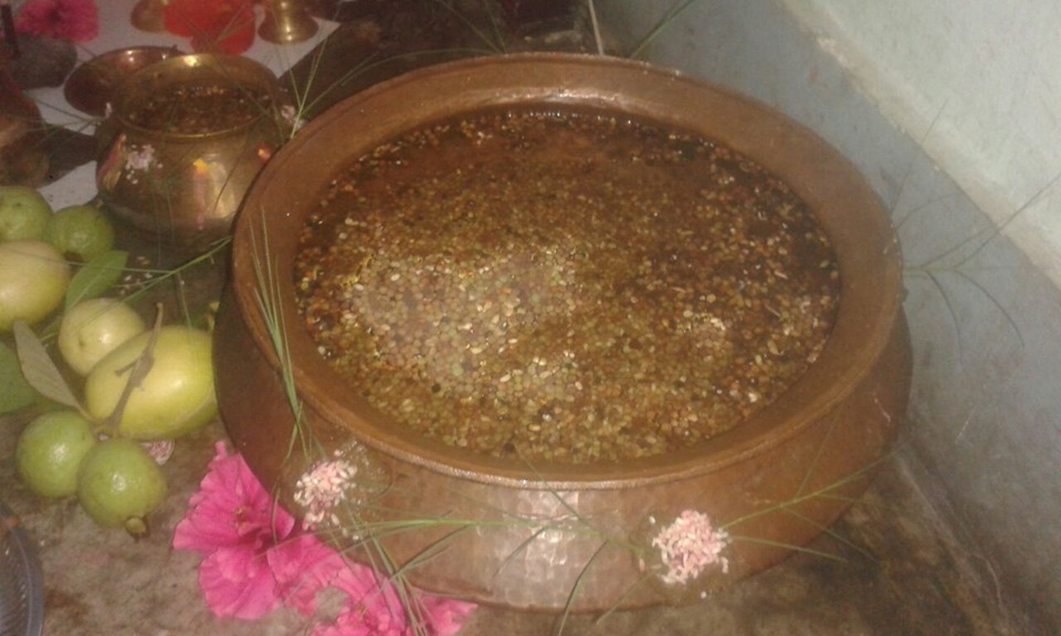 सुदूरपश्चिममा आज गौरापर्वको दोस्रो दिन नानी गौरा मनाइँदै